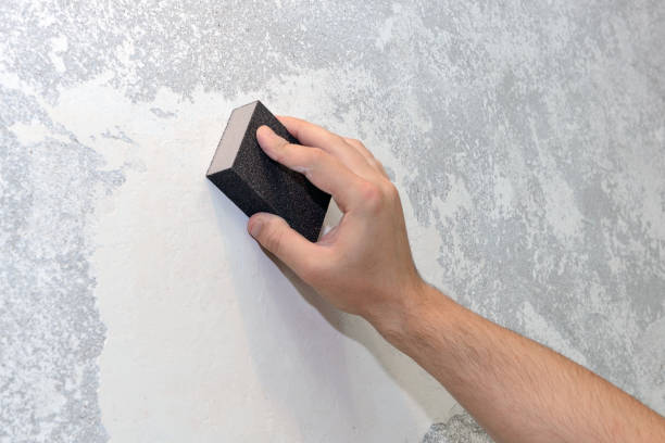 Best Mold-Related Health Consultation  in Bright, IN