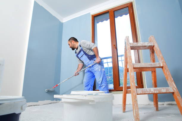 Best Attic Mold Removal  in Bright, IN