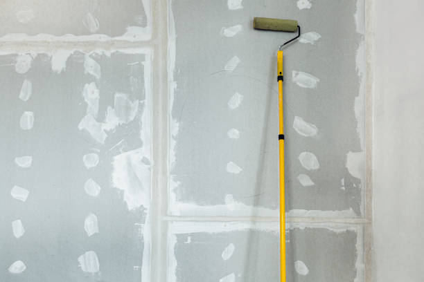 Best Crawl Space Mold Remediation  in Bright, IN