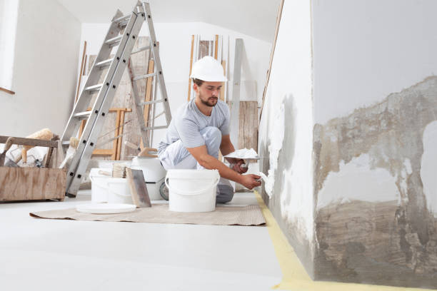 Best Dehumidification Services  in Bright, IN