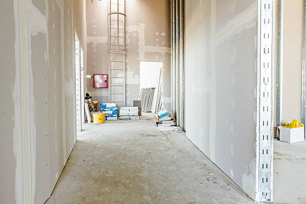 Best Black Mold Removal  in Bright, IN